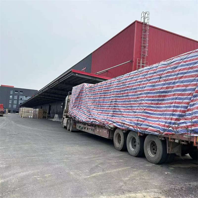 嘉定区渝中区物流：多元服务与运输线路探秘