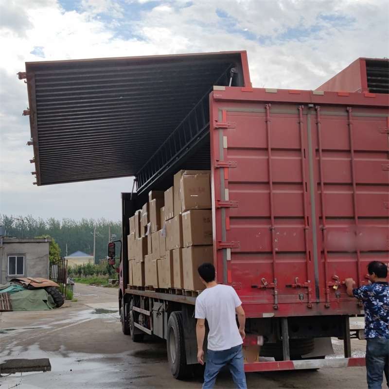 嘉定区扎囊县：物流专线的高效货运之旅