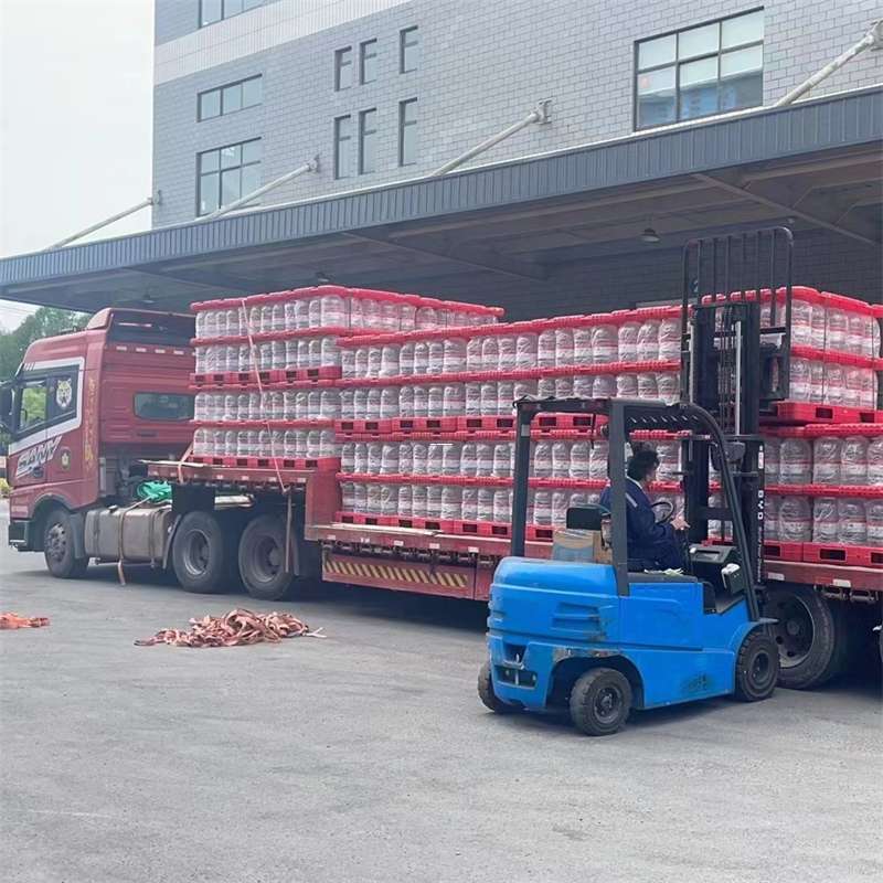 嘉定区雨城区物流：多元服务与高效运输线路探秘